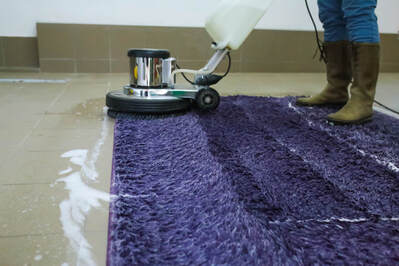 Cleaner applying washing liquid to clean purple coloured carpet